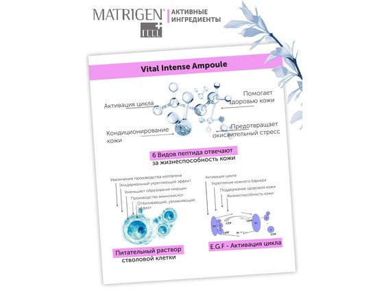 Matrigen Vital Intense Ampoule Омолаживающая ампульная сыворотка для мезотерапии лица