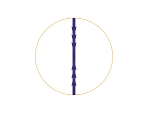 Honey Derma Thread DUAL NEEDLE c литыми шипами (тип SC) PDO