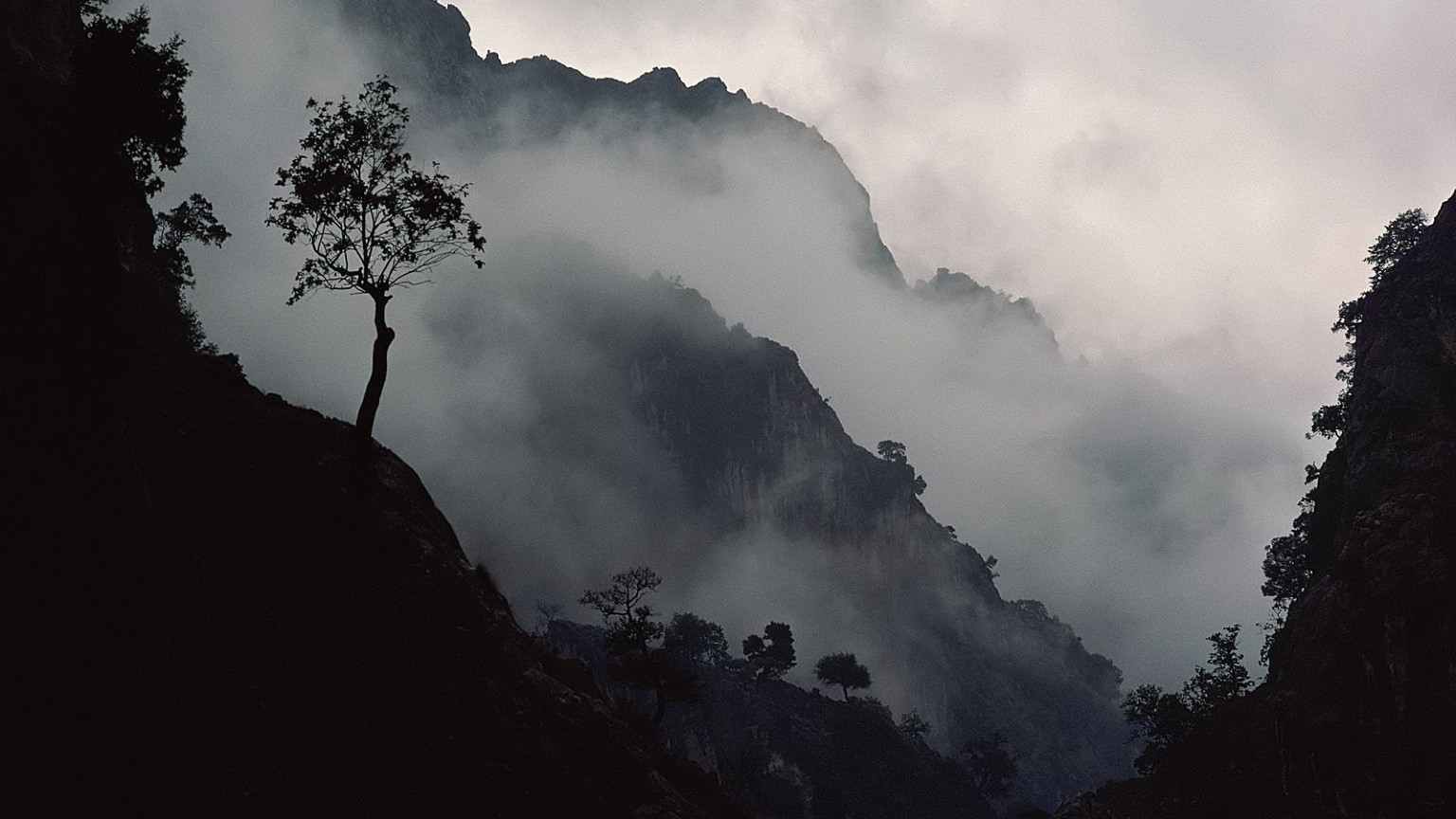 Тестовый товар от дистрика 1