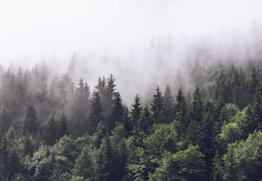 НЕАКТИВ_тестовое мероприятие от разработчиков сайта 5