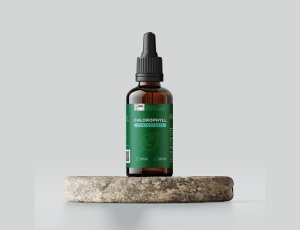 CHLOROPHYLL CONCENTRATE