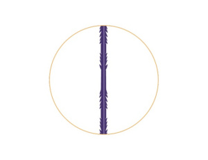 Honey Derma Thread DUAL NEEDLE с насечками PDO (тип FC)