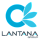 Lantana Group